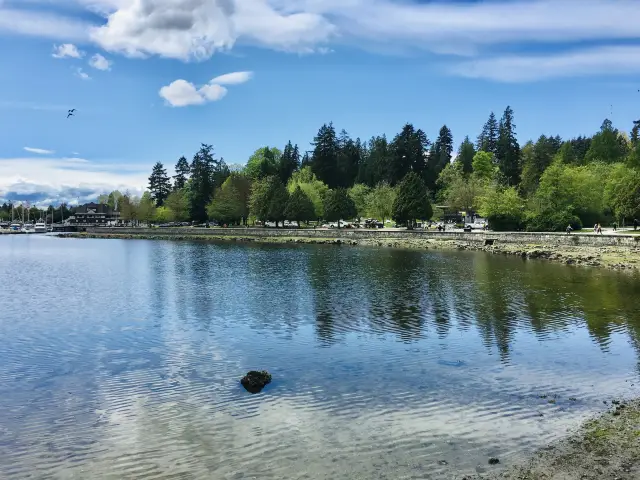 溫哥華 Stanley Park無敵海景