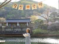 화담숲에서 만난 예쁜 봄 