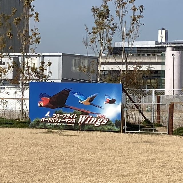 神戸どうぶつ王国迫力あるオウムたち