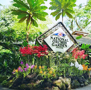 National Orchid Garden Singapore