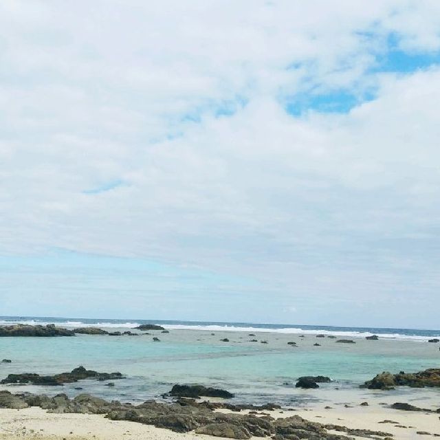 これが奄美大島の幻の黒砂糖を制作している会社！水間黒糖