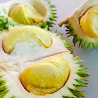 Exotic Fruits Of Borneo