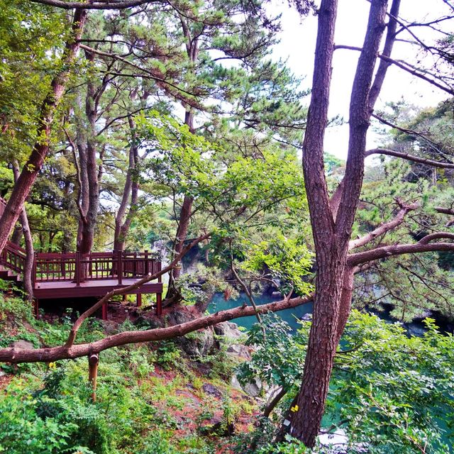 🚶 하천을 따라가는 산책길, 쇠소깍