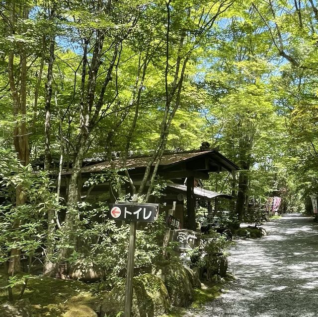 【大分】おんせん県おおいた
