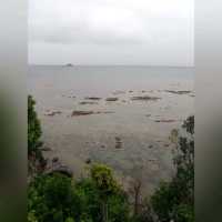 To The Tip of Borneo