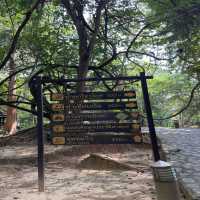 🌿🐠แวะพักน้ำตกสวย เช็คอินก่อนขึ้นบ้านอิต่อง🌳⛰️