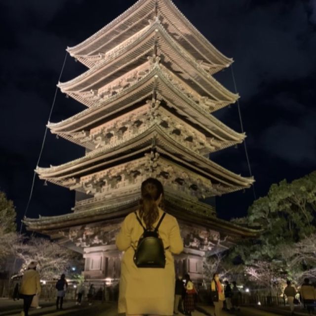 【京都】東寺のライトアップ♡