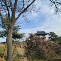 공주 공산성 단풍여행