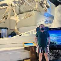 PLANETARIUM and SCIENCE at The Mind Museum