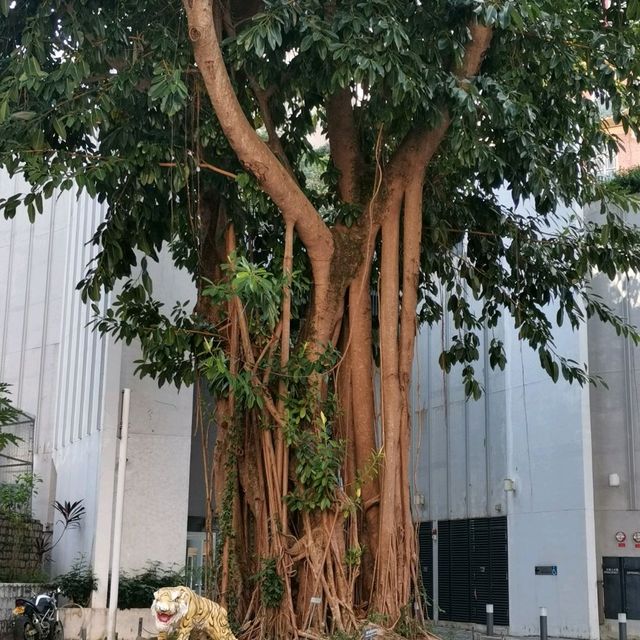 一級歷史文物