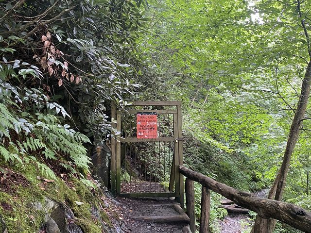 Hike to Chimney Top - Great Smokies 