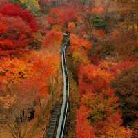 Colours of autumn at Hwadam-sup