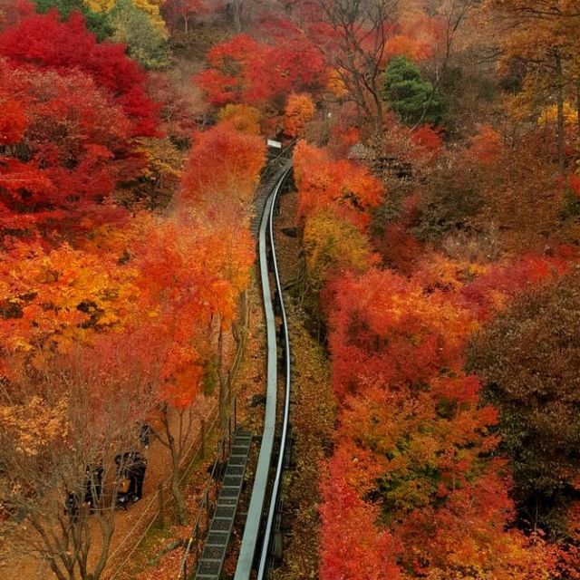 Colours of autumn at Hwadam-sup