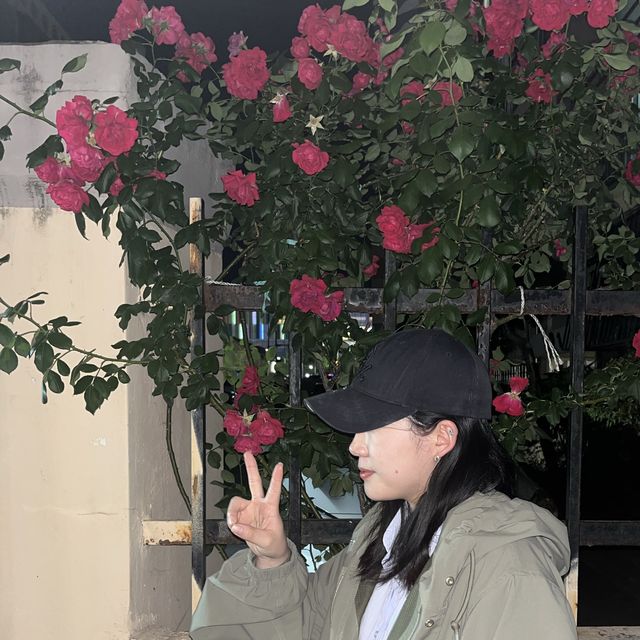밤 중 피크닉💕