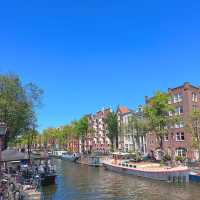 CITY OF BIKES 🚲🇳🇱