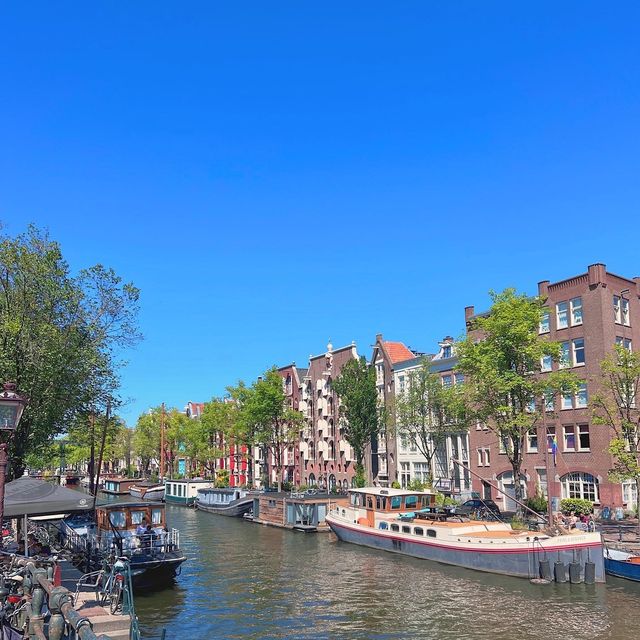 CITY OF BIKES 🚲🇳🇱