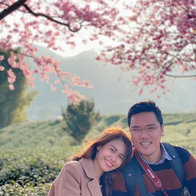 Yongfu Cherry Blossom Garden, Longyan