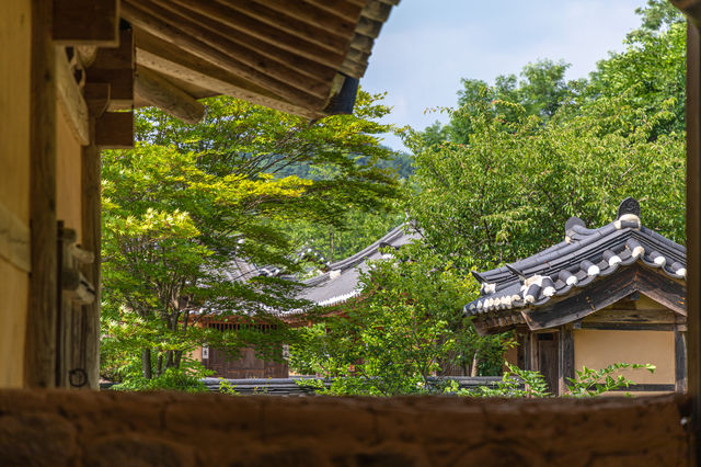 영주 선비문화 체험 '영주선비촌'