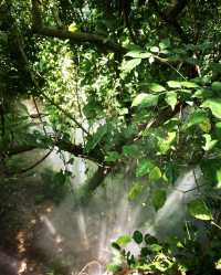 Xiamen | is my "Wizard of Oz" in dreams