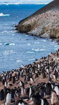 Antarctica | Cross the Drake Passage to the world of penguins