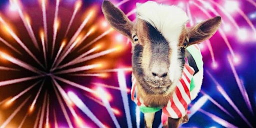 Goat Yoga McKinney @ The Stix! | The Stix Icehouse