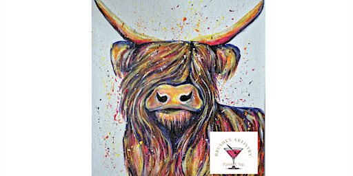 Highland Cow | Pied Bull