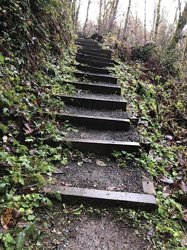 Milo McIver Stair Project - PDX | Milo McIver State Park