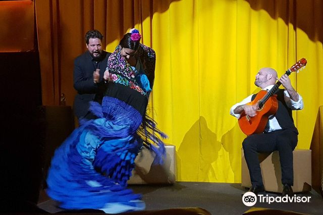 Monasterio Flamenco Show | Calle Amor de Dios 18