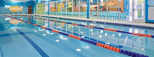 Family Swim | Goldfish Swim School - Fairview Park