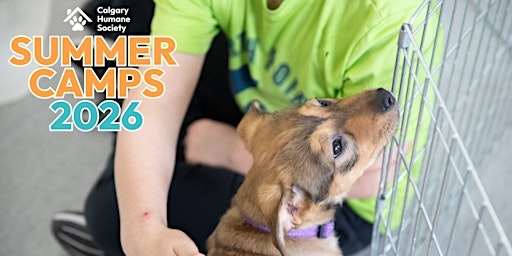 CHS Summer Camp: Courageous Canines (Grade 4-6) - August 4th - 7th | Calgary Humane Society
