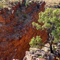 SERPENTINE GORGE (ULPMA)