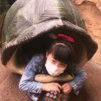 海洋公園