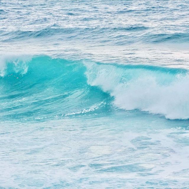 利尻島の海でサーフィン