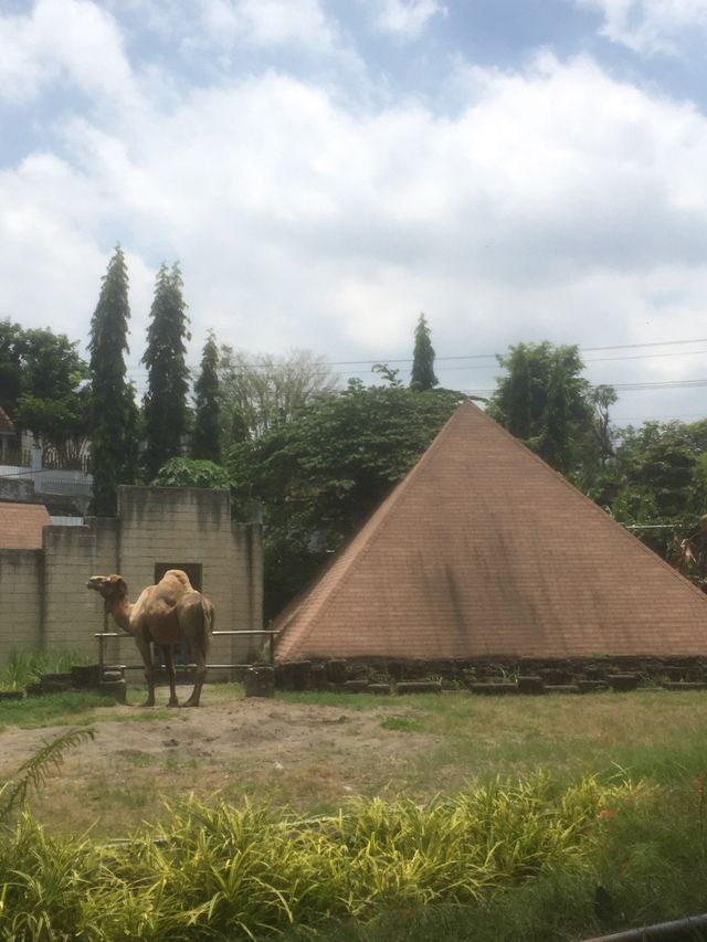Gembira Loka Zoo