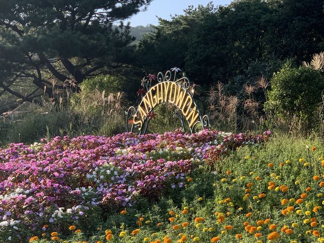 [제주도 여행] 제주 수목원 - 상효원