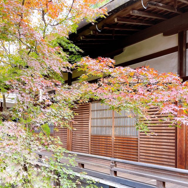 【紅葉巡り】京都ー永観堂