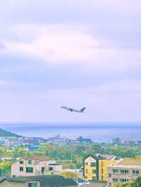 제주공항 활주로가 한 눈에 들어오는 이 곳✈️