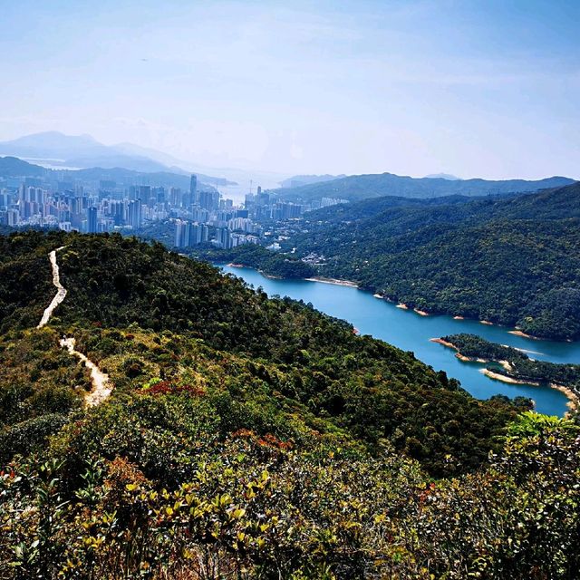 針山