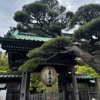 この世の極楽に鎌倉観光なら長谷寺