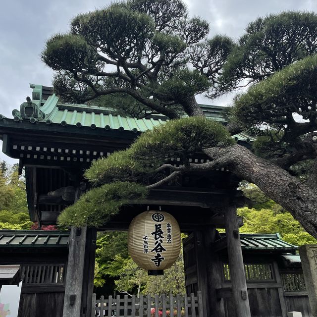 この世の極楽に鎌倉観光なら長谷寺
