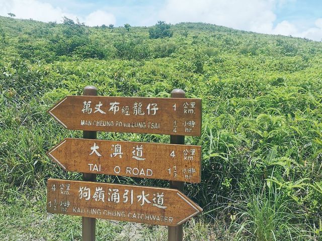 羗山