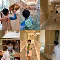 staycation Hong Kong Disneyland hotel