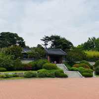 푸릇푸릇🪴숲에서 인생샷 건지기 강릉 오죽헌