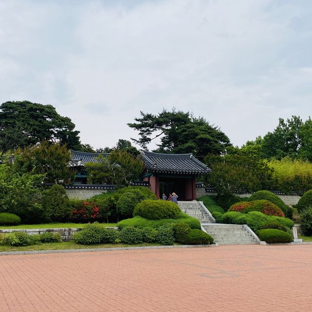 푸릇푸릇🪴숲에서 인생샷 건지기 강릉 오죽헌
