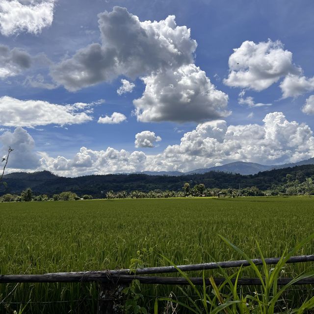 ขับรถชมดอยหลวงเมืองคอง ขับรถชมดอยหลวงเมืองคอง