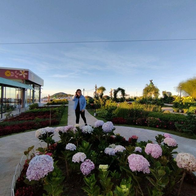 On top of the 'world' at Apo Flower Garden