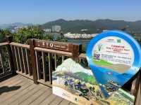 港島行山路線｜快閃龍脊睇靚景