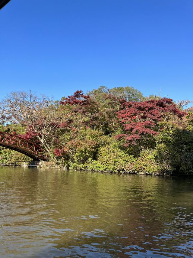 こどもの国🌳