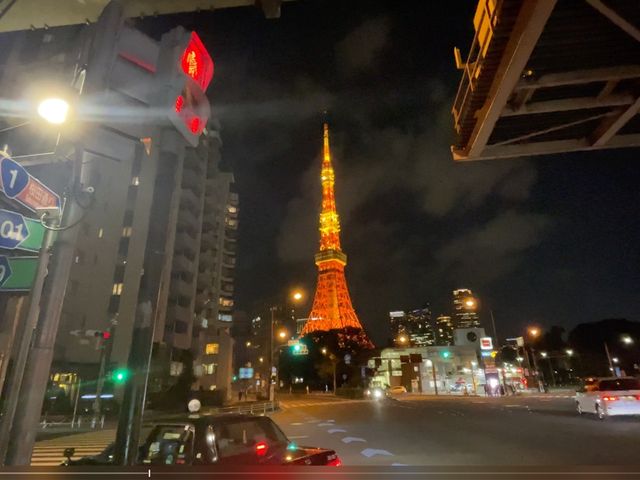 가까이 보면 더 실감나는 도쿄타워..시바공원에서 구경해요 🗼