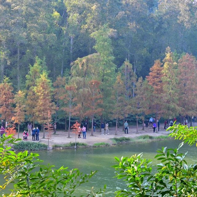 黃昏美景
